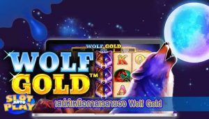 เสน่ห์เหนือกาลเวลาของ Wolf Gold